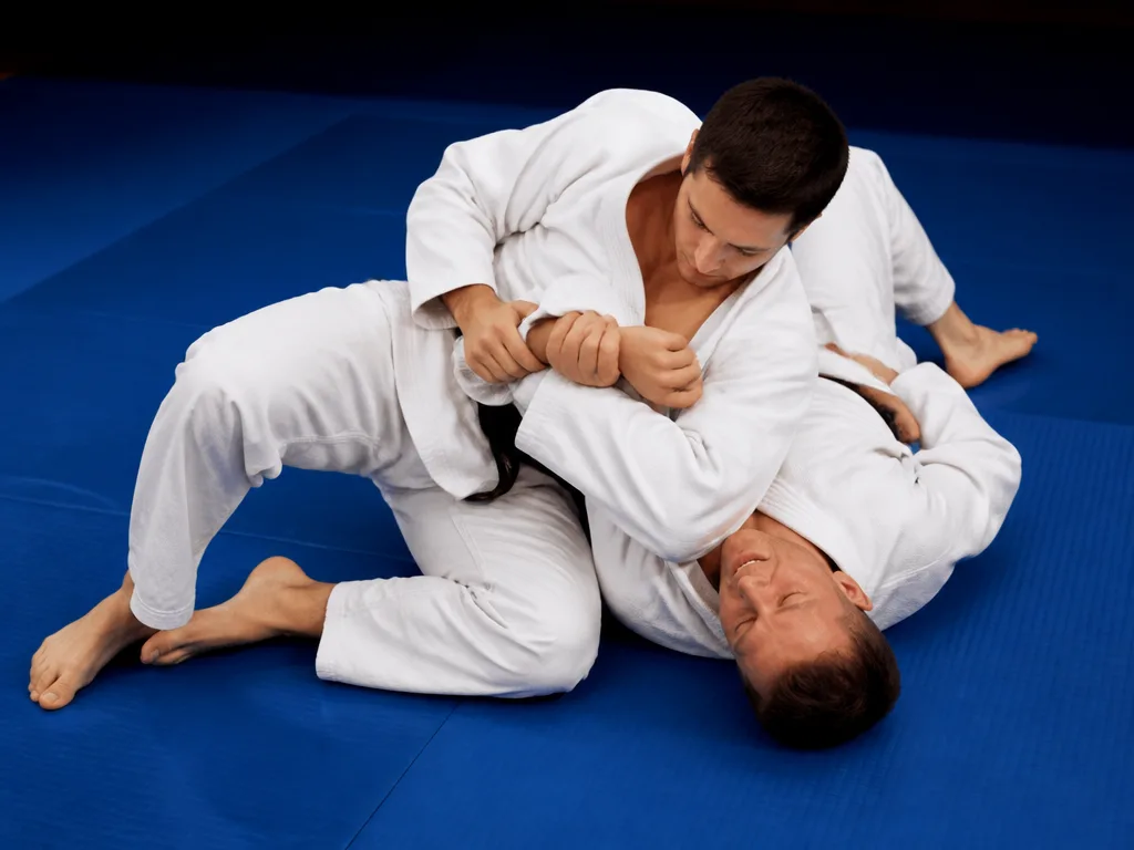Brasiliansk Jiu Jitsu: Historia, Tekniker och Bältessystem